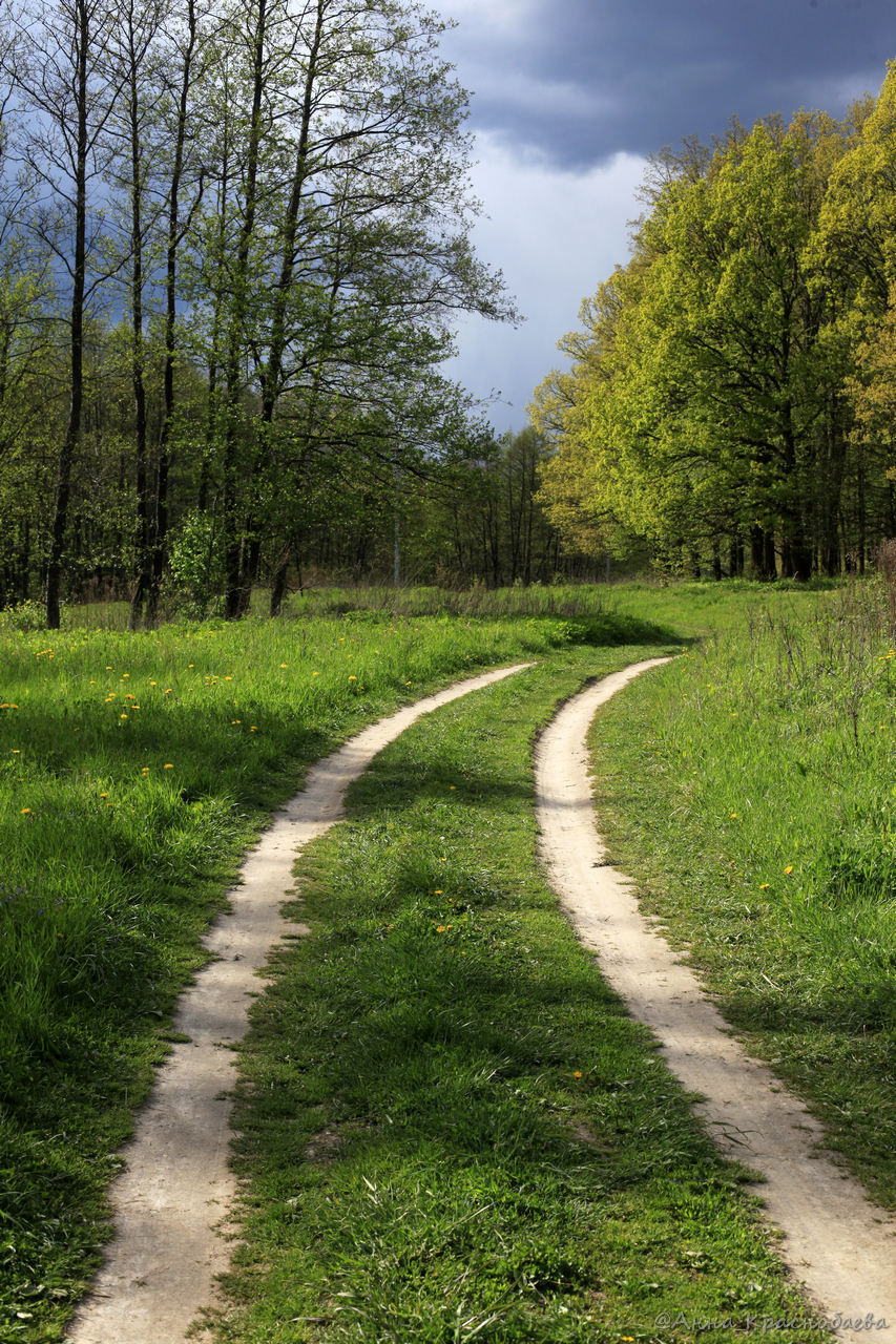 Дубна и окрестности, image of landscape/habitat.
