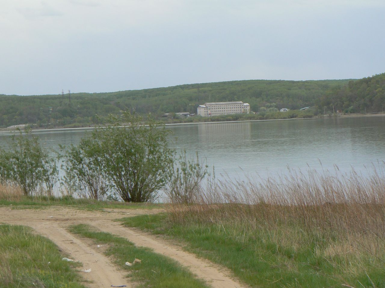 Большой Уссурийский остров, image of landscape/habitat.