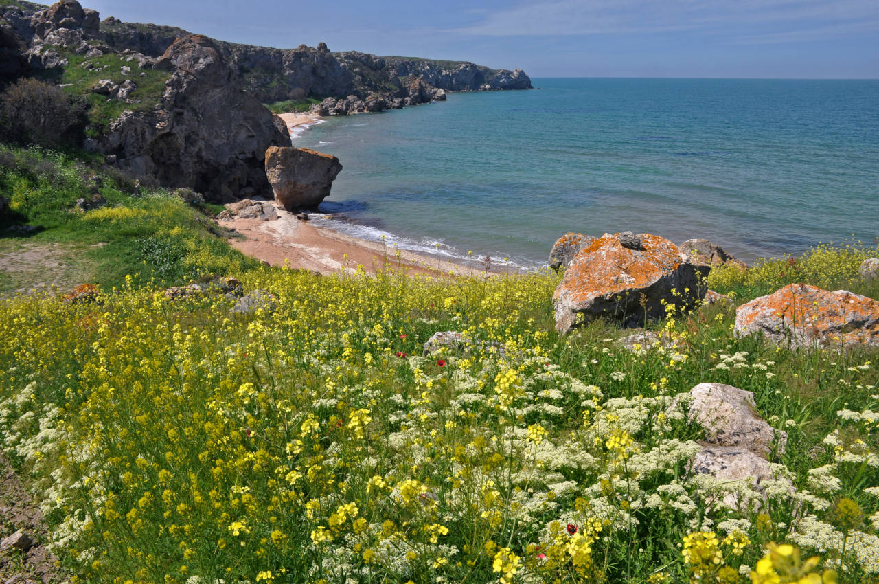 Коровья бухта, изображение ландшафта.