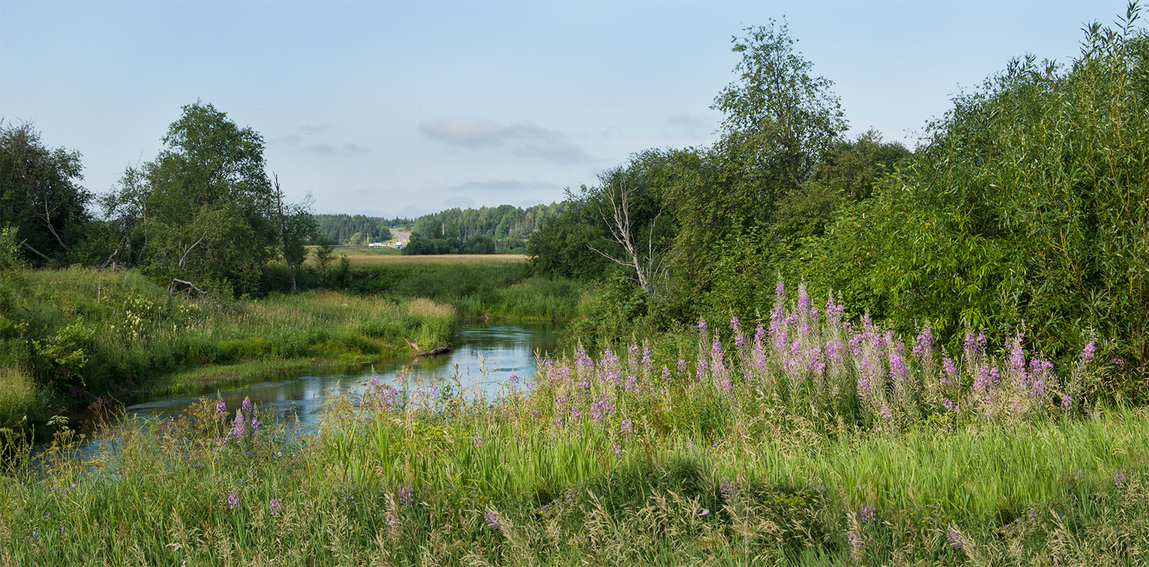 Окрестности Черновского, image of landscape/habitat.