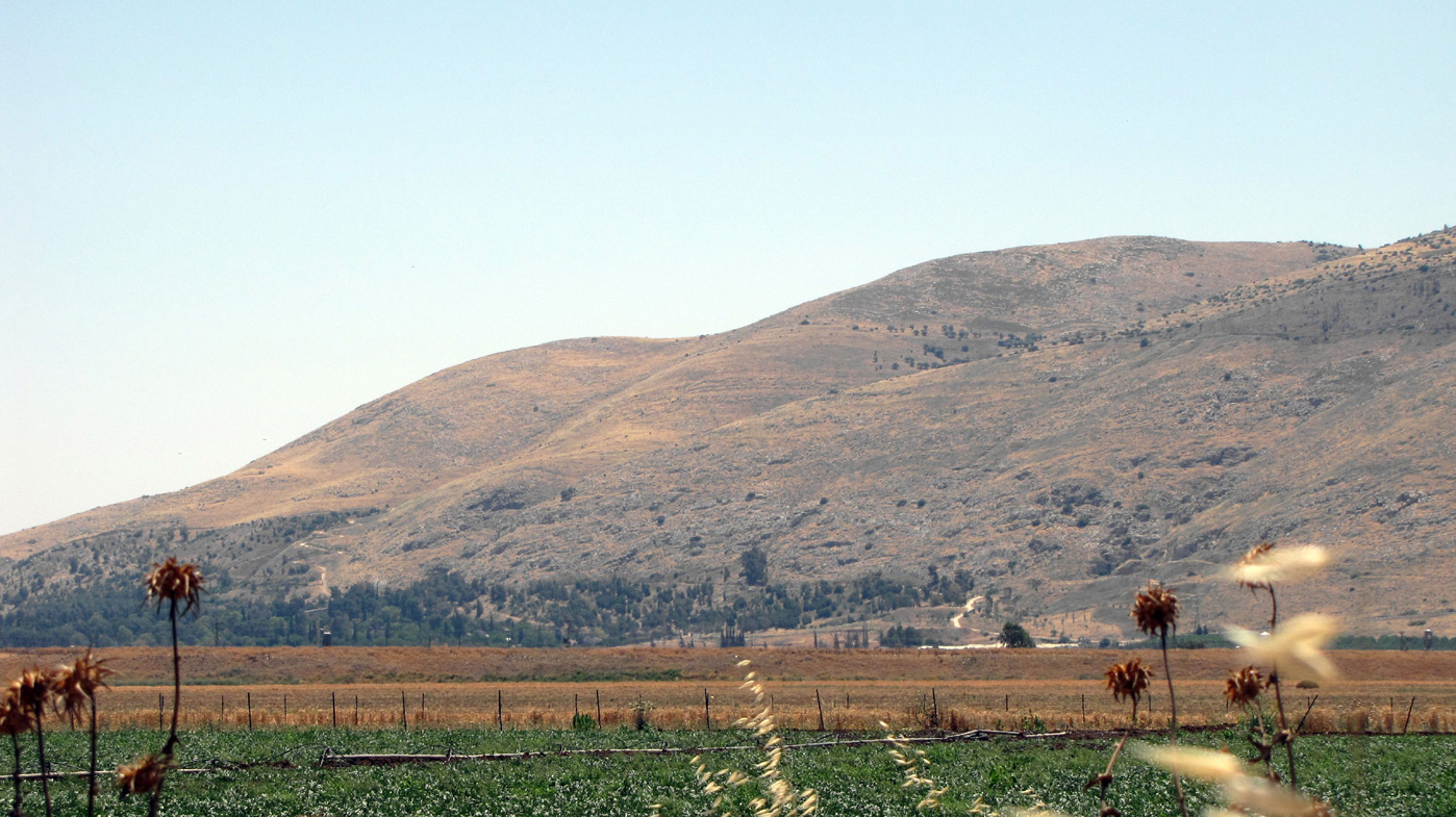 Горы Гильбоа, image of landscape/habitat.