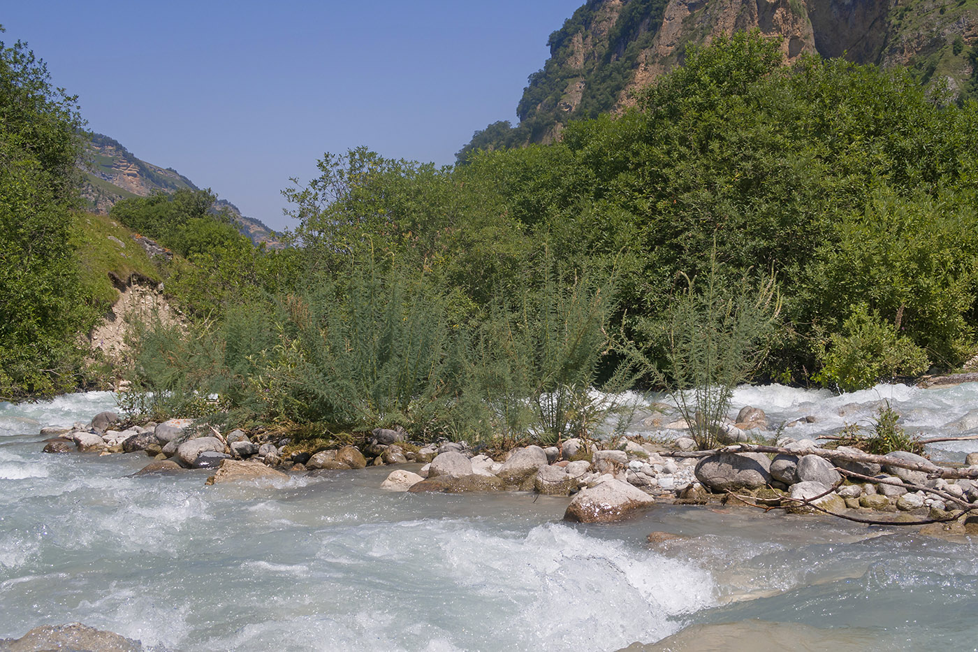 Хазнидон, image of landscape/habitat.