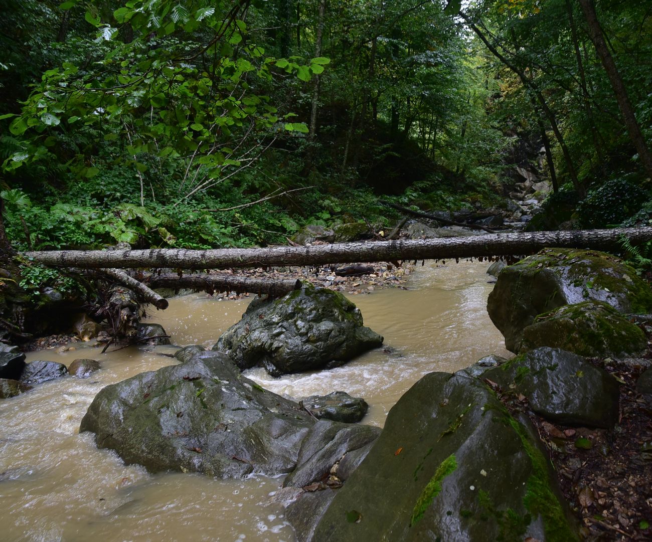 Переправа через Сюк, image of landscape/habitat.