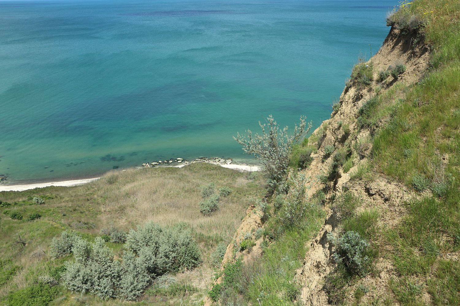 Кучугуры (Таманский п-ов), image of landscape/habitat.