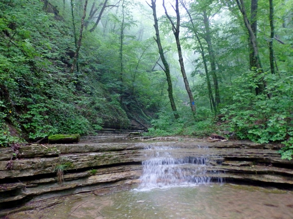 Плесецкая щель, image of landscape/habitat.