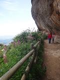 Image of landscape