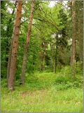 Image of landscape