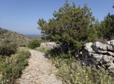 Image of landscape