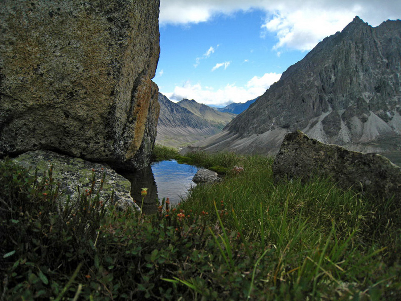 Хребет Кодар, image of landscape/habitat.