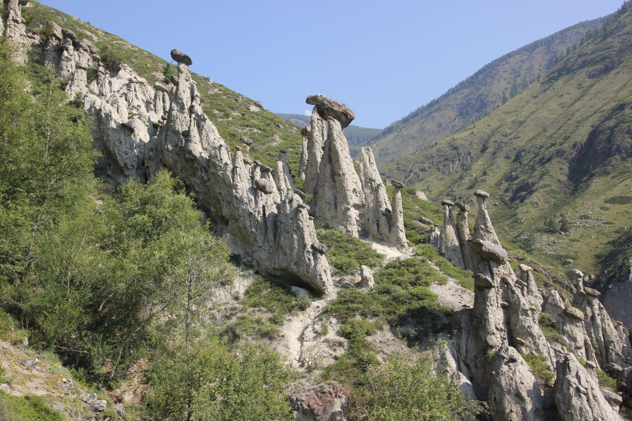 Ак-Курум и окрестности, image of landscape/habitat.