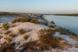 Окрестности станицы Голубинская, image of landscape/habitat.