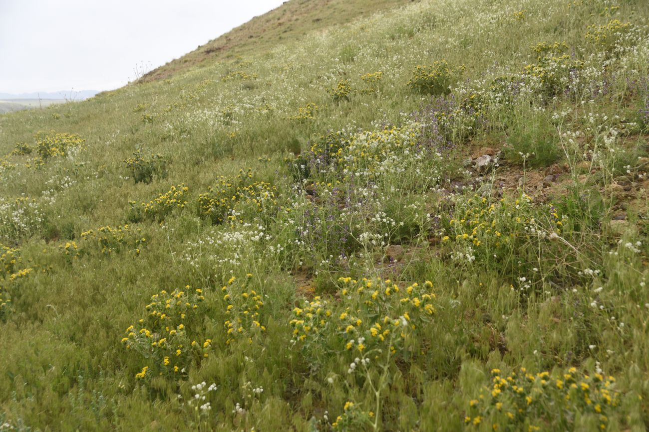 Армянская часовня, изображение ландшафта.
