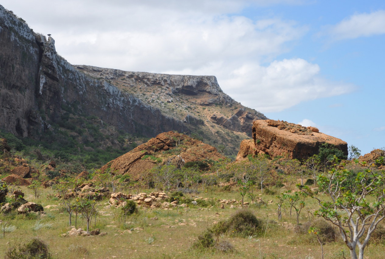 Окрестности пещеры Хок, image of landscape/habitat.