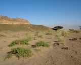 Эйлатские горы, image of landscape/habitat.