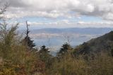 Image of landscape