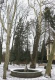 Image of landscape
