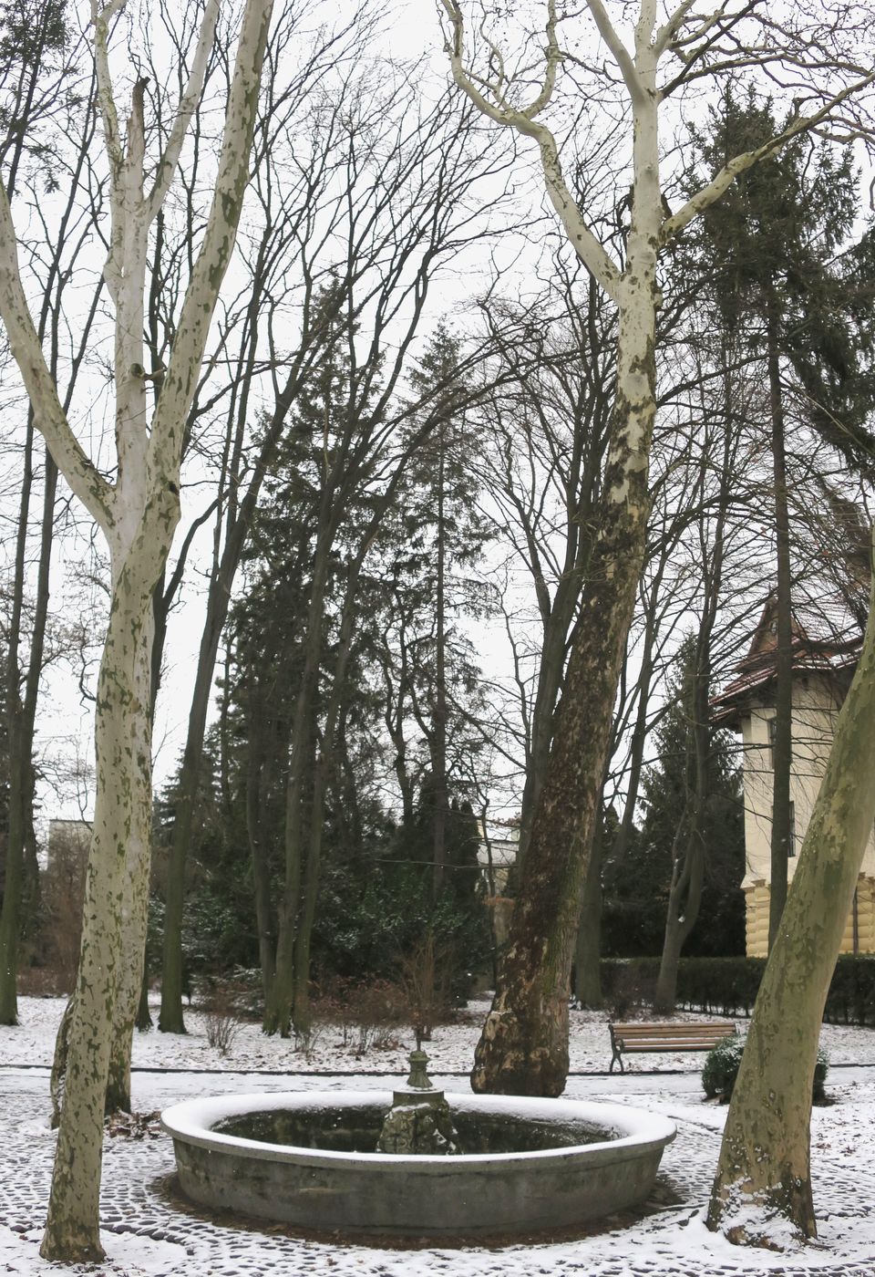 Дендропарк Львовского ЛТУ, изображение ландшафта.
