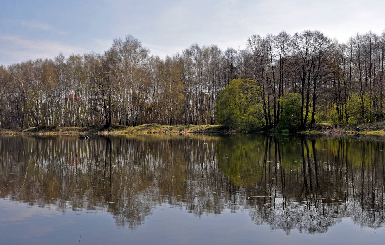 Железнодорожный, image of landscape/habitat.