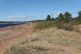 Image of landscape