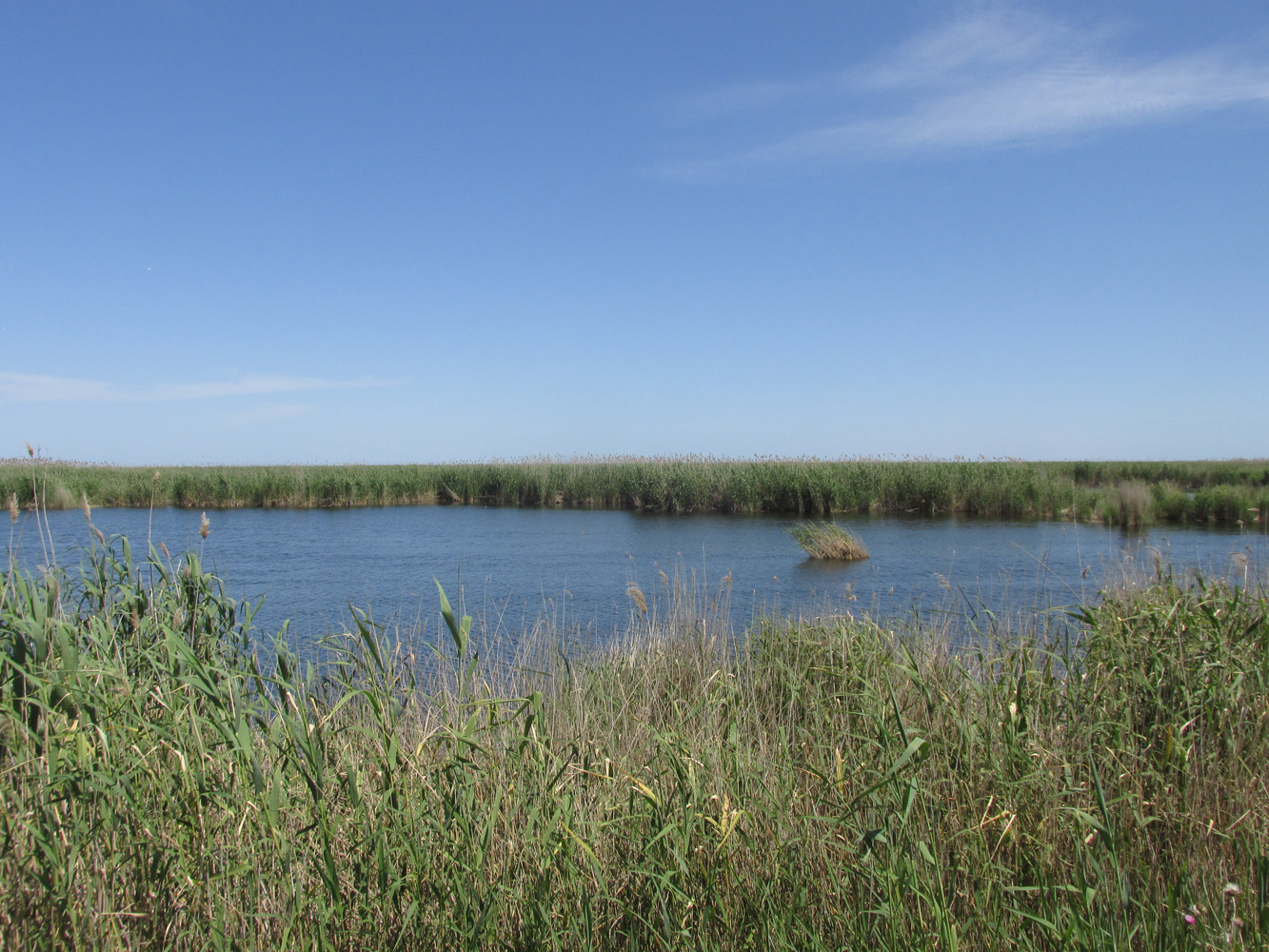 Аграханский залив, image of landscape/habitat.