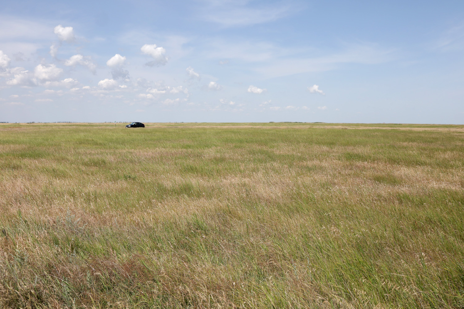 Заказник Присивашский, image of landscape/habitat.