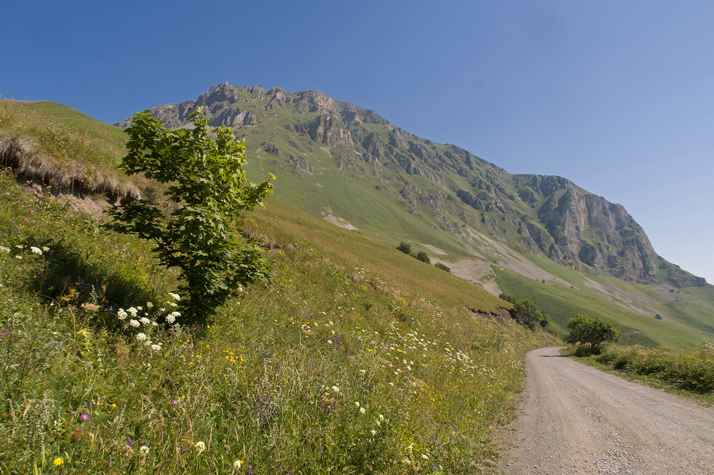 Санибанский перевал, image of landscape/habitat.