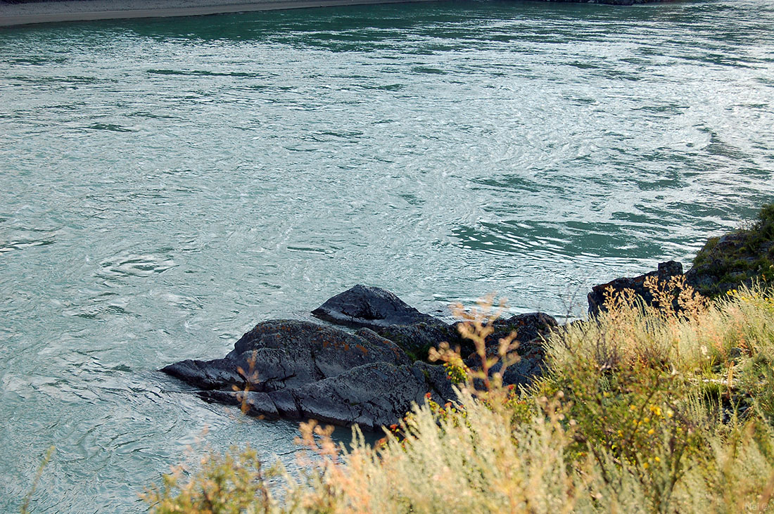 Скалы Катуни, image of landscape/habitat.