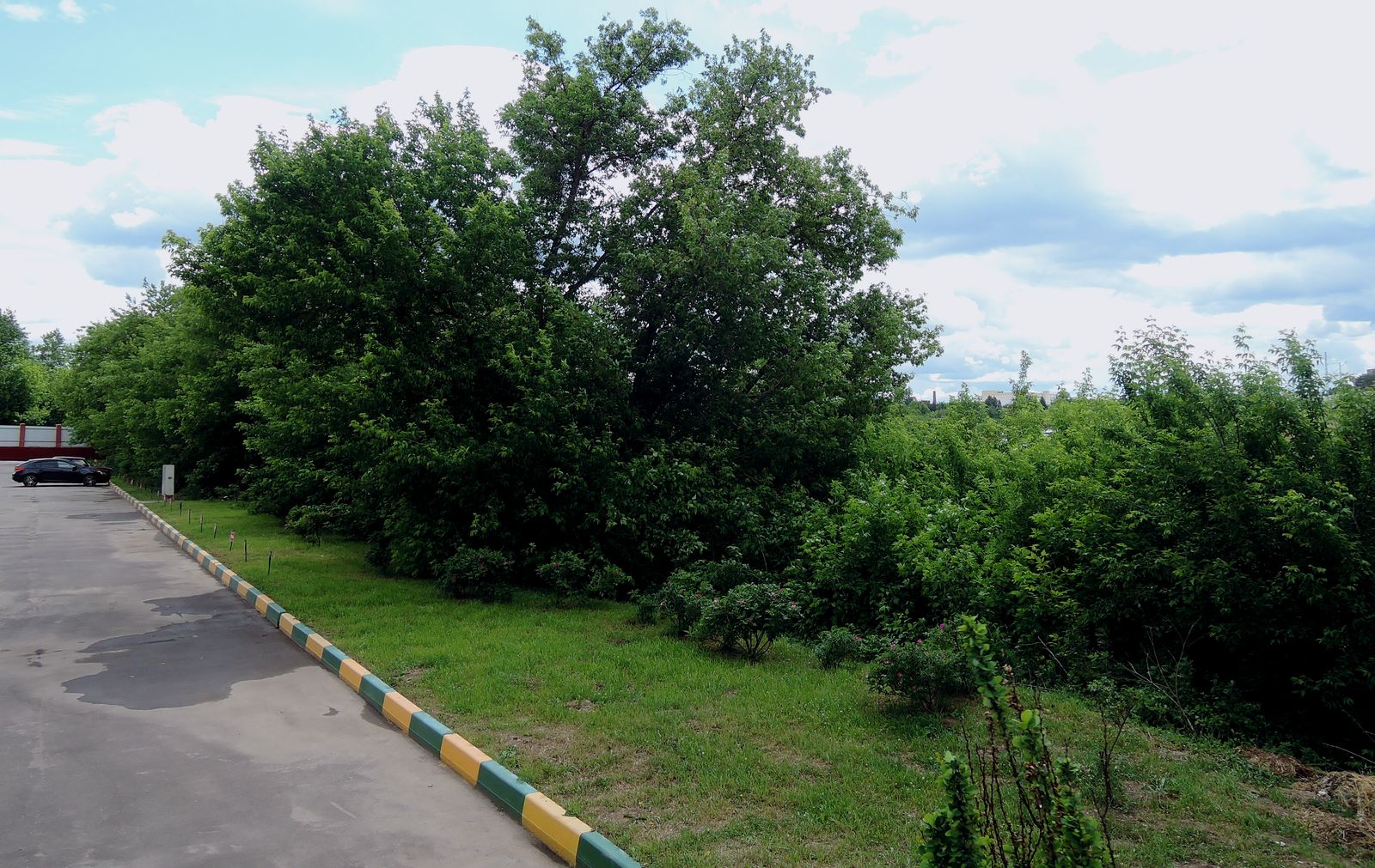 Подольск, image of landscape/habitat.