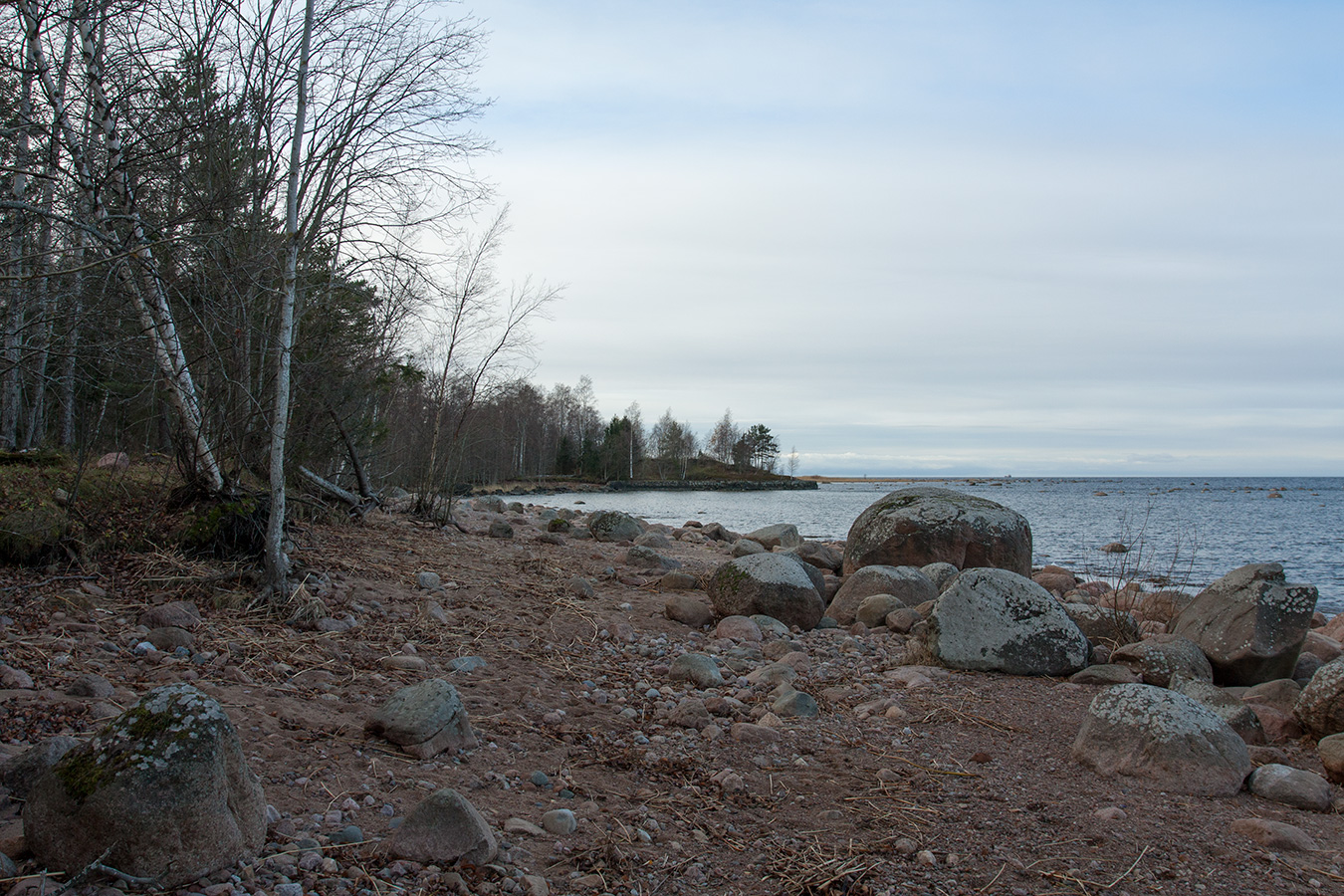 Серая Лошадь, image of landscape/habitat.