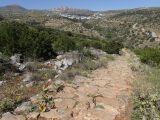 Image of landscape