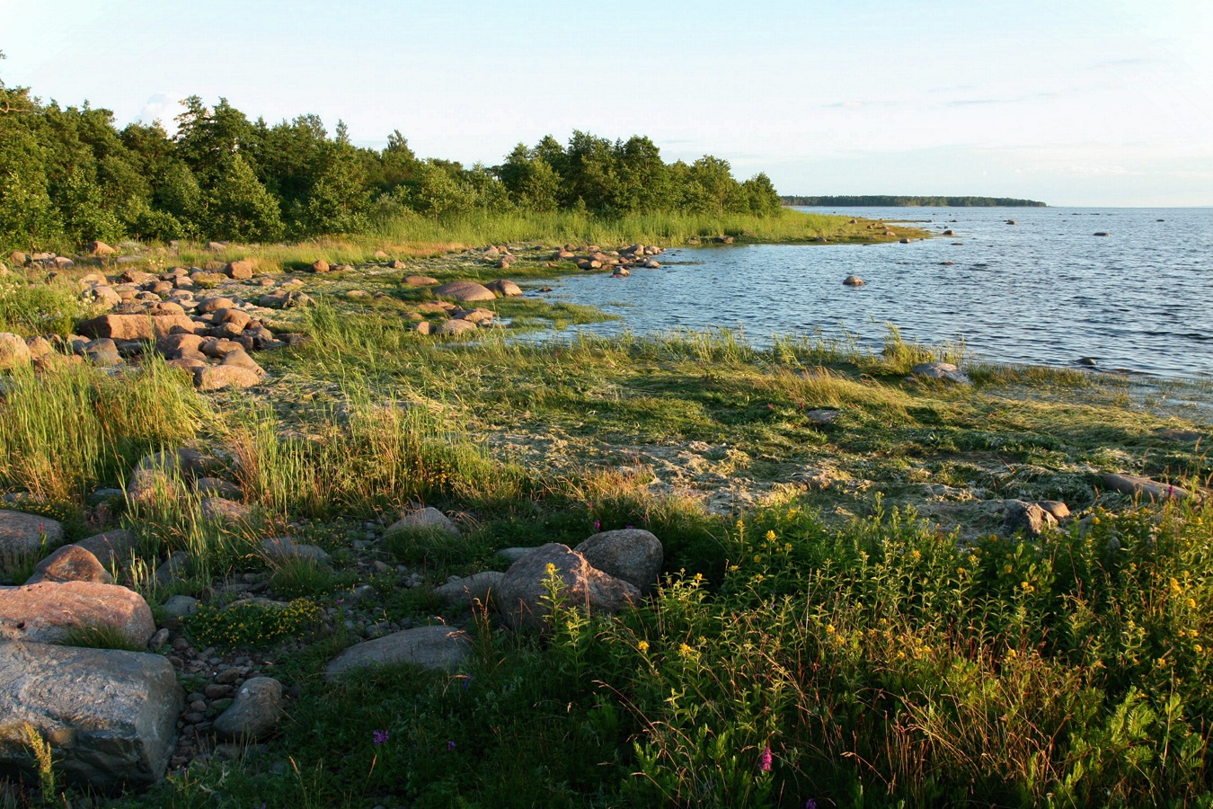 Шепелёвский маяк, image of landscape/habitat.