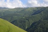 Лес между Хакмадой и Хочелдой, image of landscape/habitat.