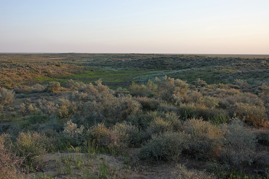 Кызылкум Восточный 2, изображение ландшафта.