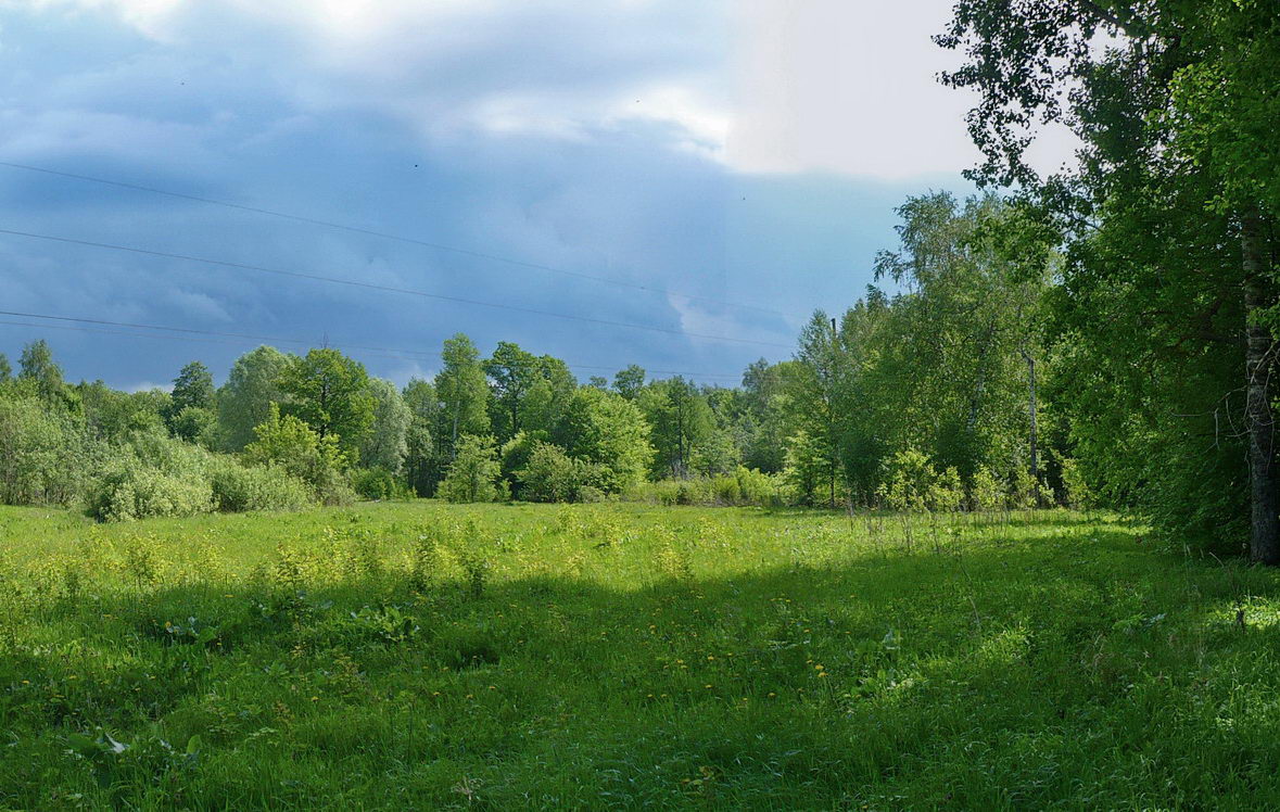 Город Шумерля, image of landscape/habitat.