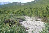 Image of landscape