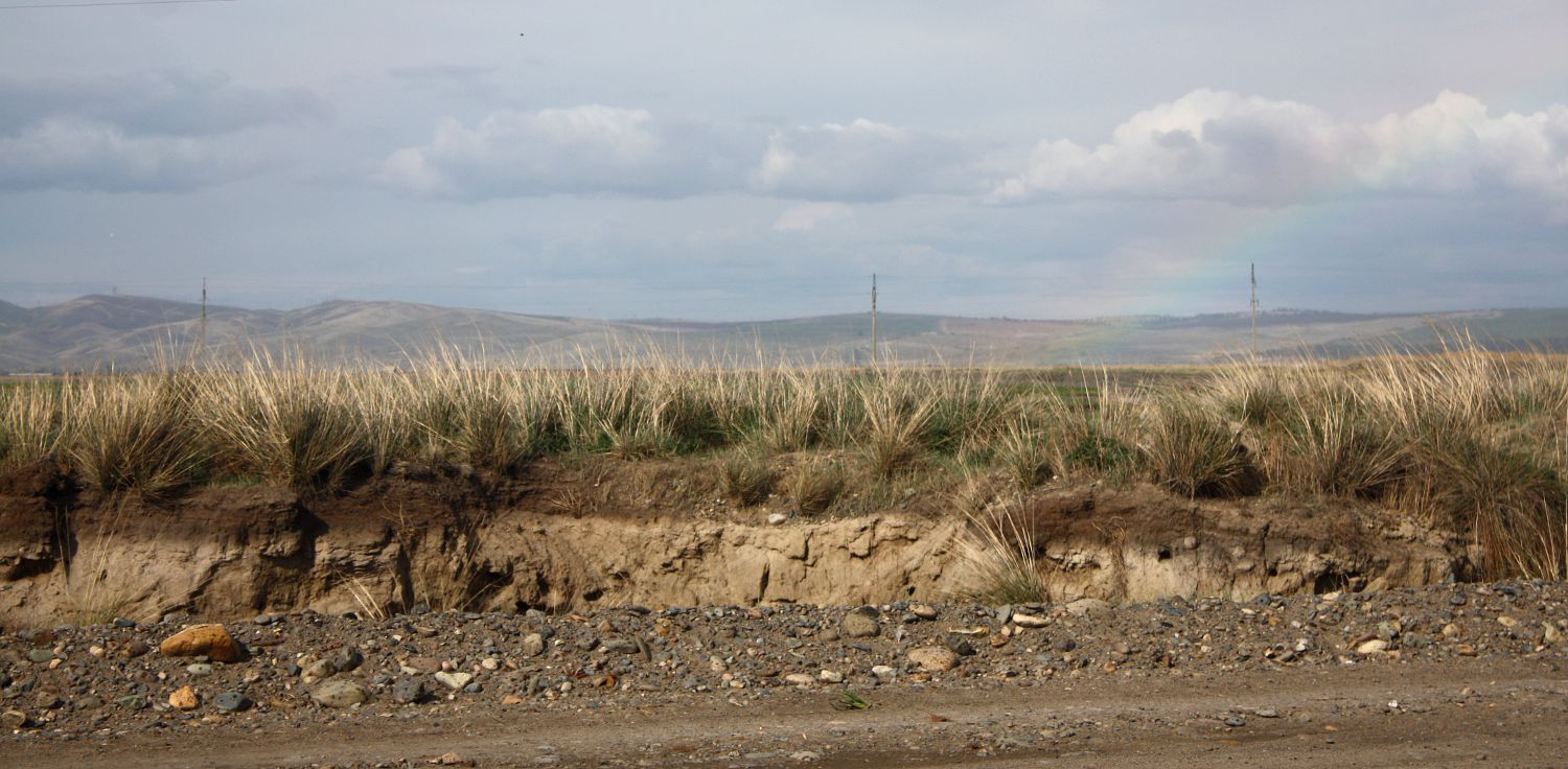 Окрестности Аршаново, image of landscape/habitat.