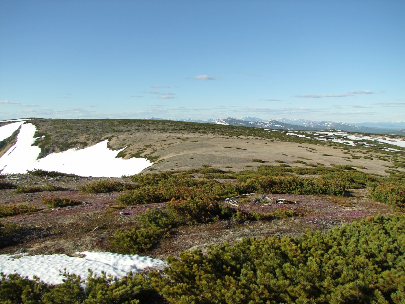 Водораздел Дукчи и Омчика, image of landscape/habitat.