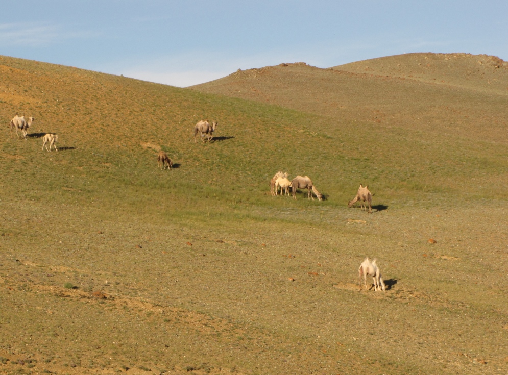 Тыдтуярык, image of landscape/habitat.