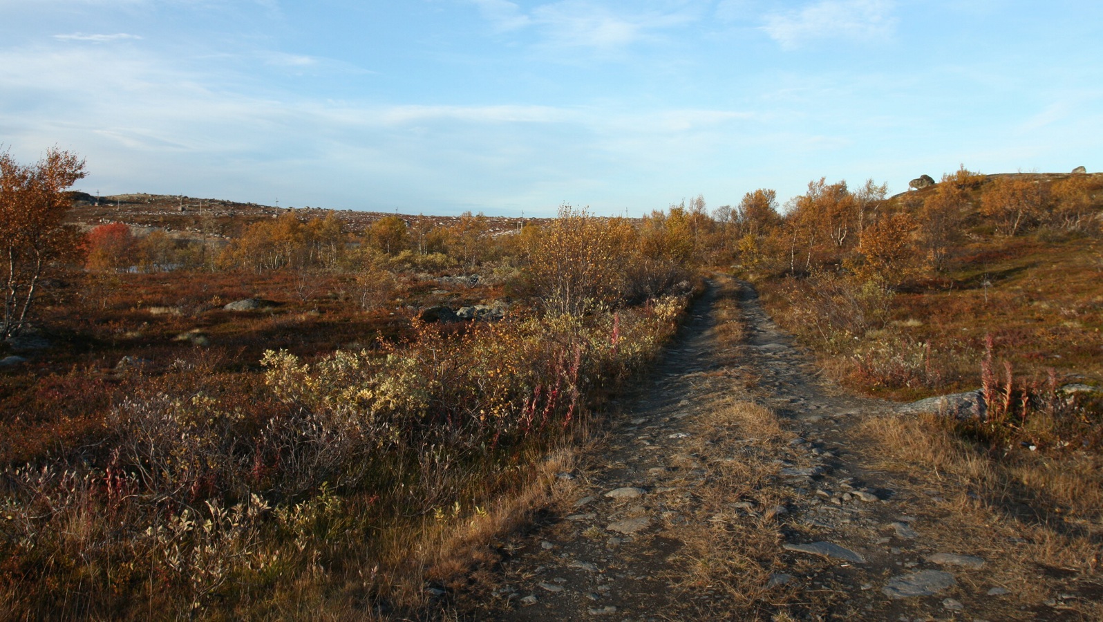 Тундра у Печенгской дороги, изображение ландшафта.