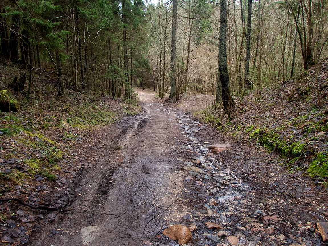 Заказник "Голубые озёра", image of landscape/habitat.