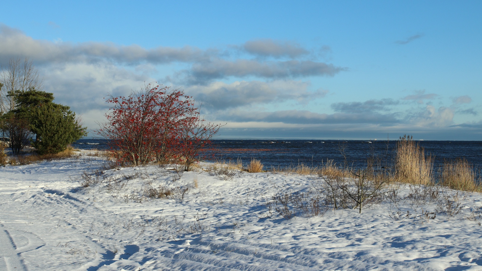 Каравалдай, image of landscape/habitat.