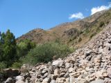 Image of landscape