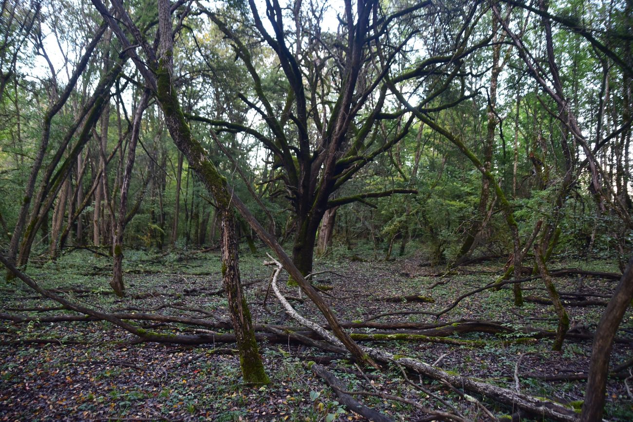 Карьер компании "Волма", image of landscape/habitat.