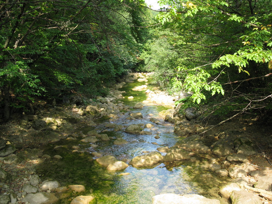 Большой каньон Крыма, image of landscape/habitat.