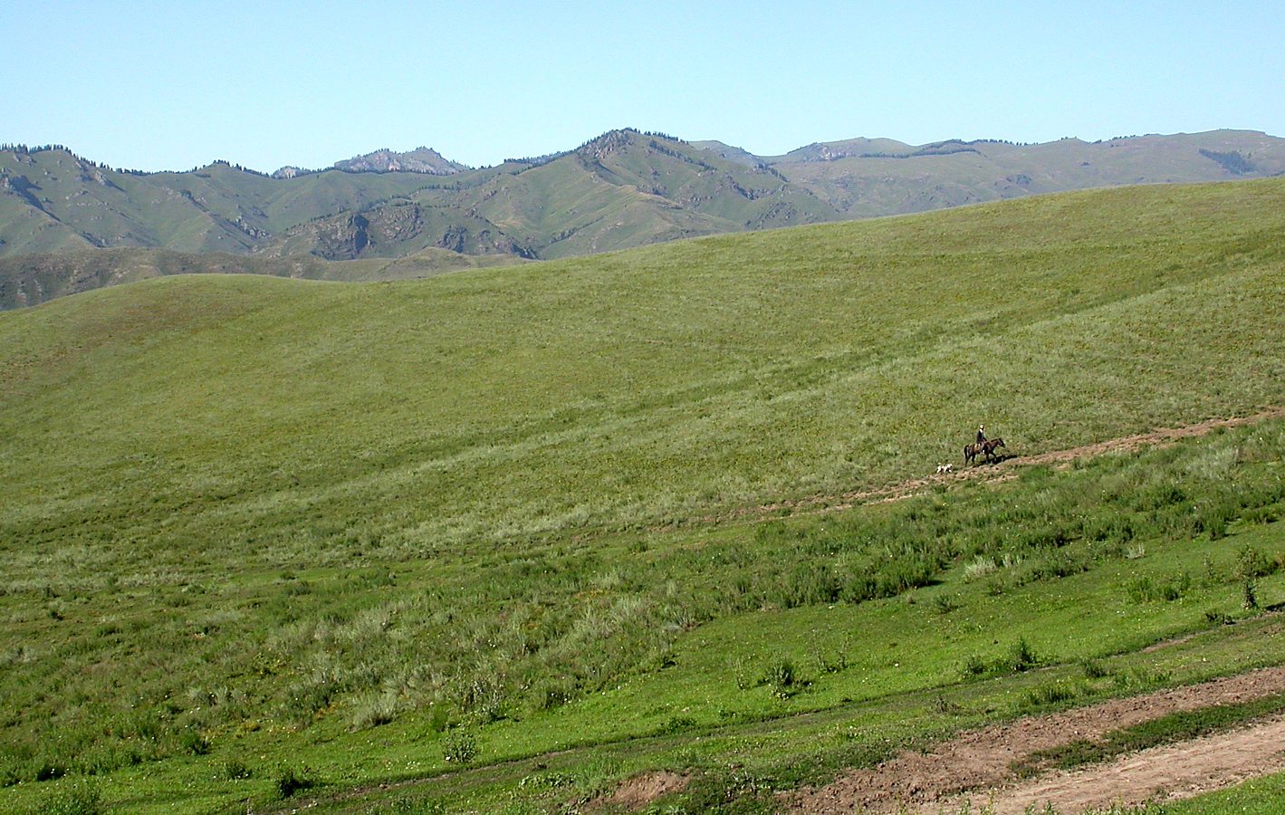 Туюк, image of landscape/habitat.