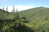 Image of landscape