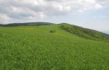 Image of landscape