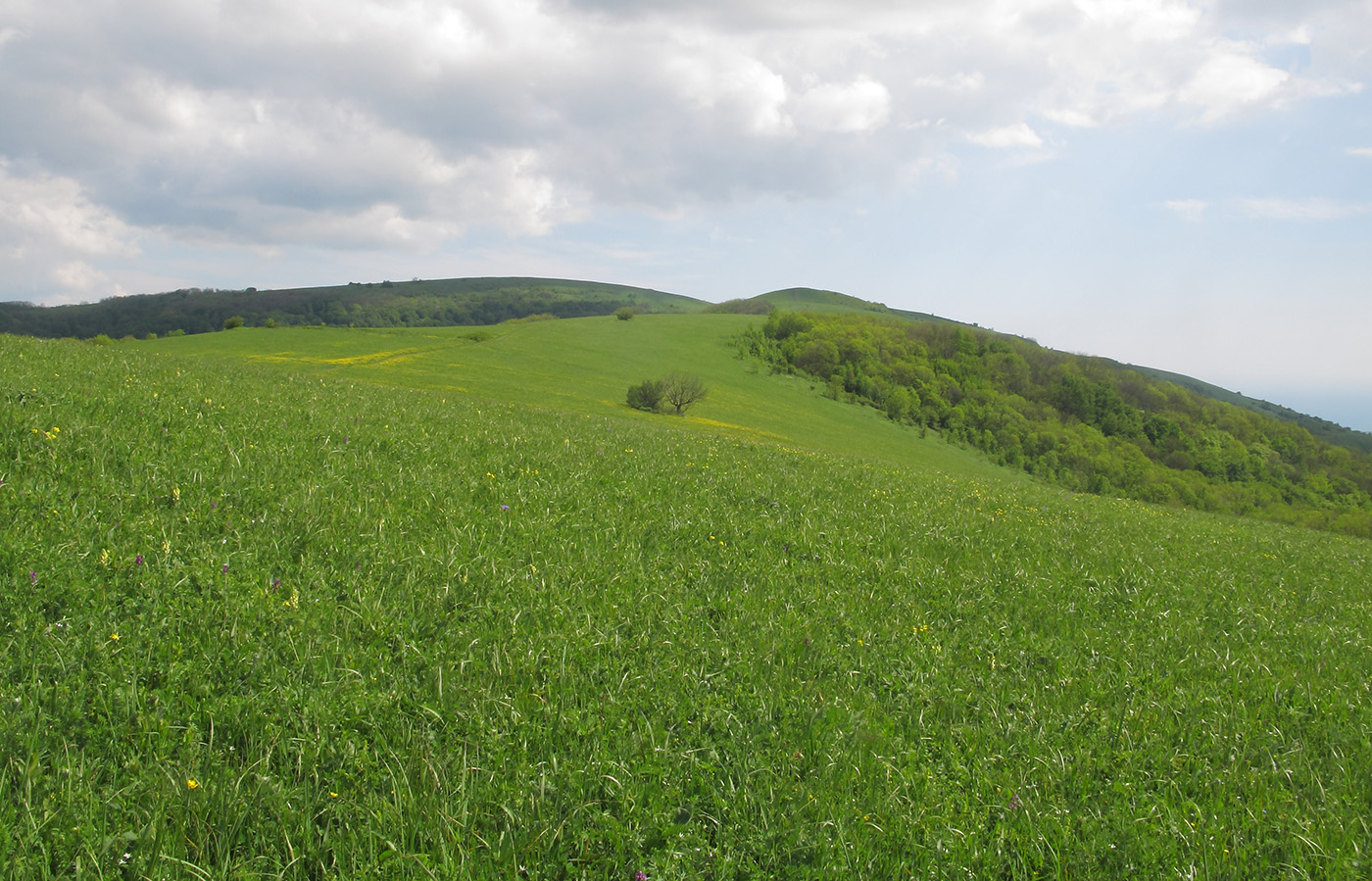 Гора Солдатская, image of landscape/habitat.