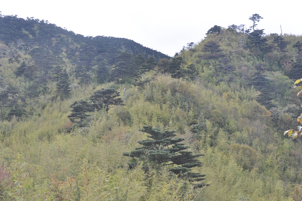 Гора Цаншань, image of landscape/habitat.