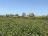 Image of landscape